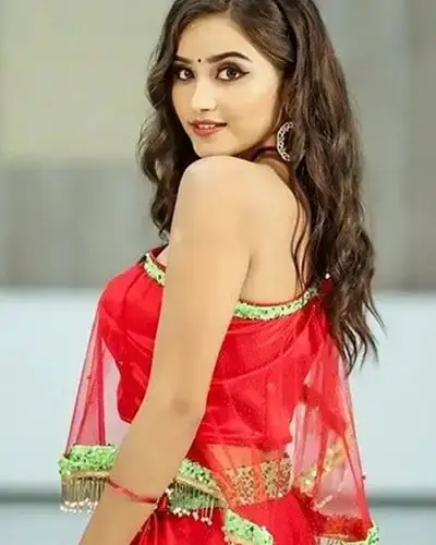 Call Girls Service Pandariya